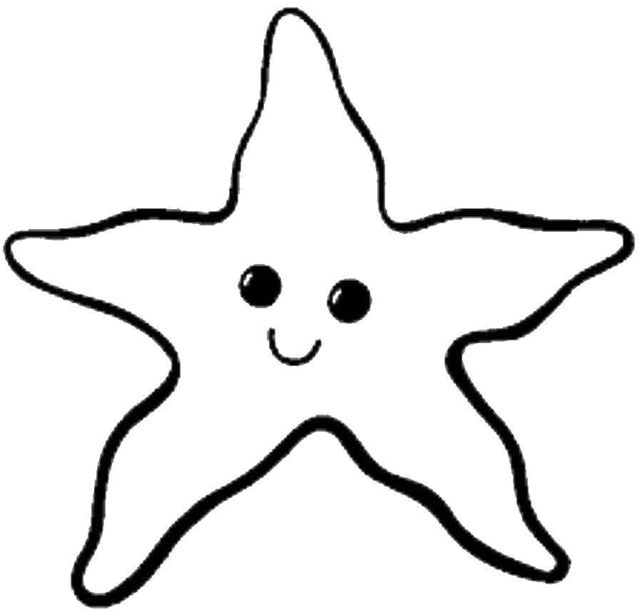   Морская звезда