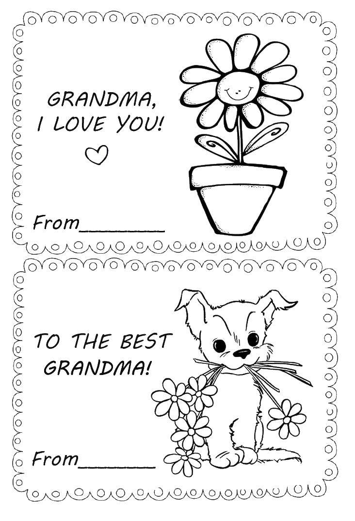   Собака и цветок