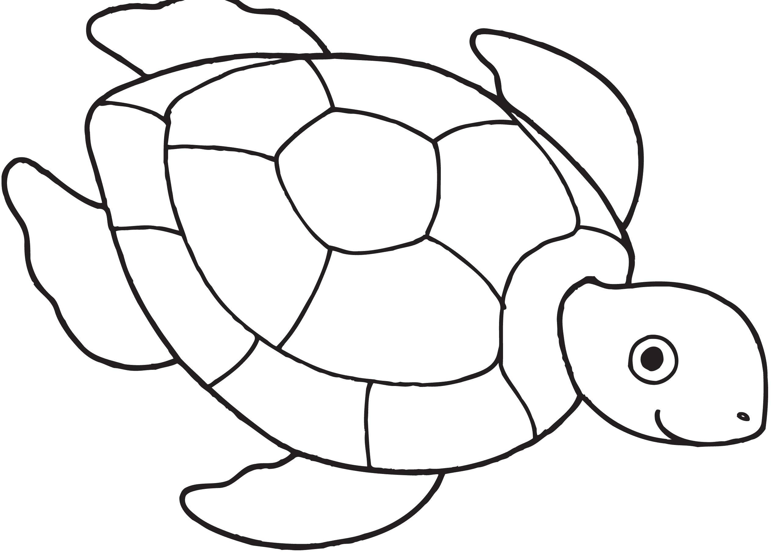 Раскраски черепаха  Морская черепашка