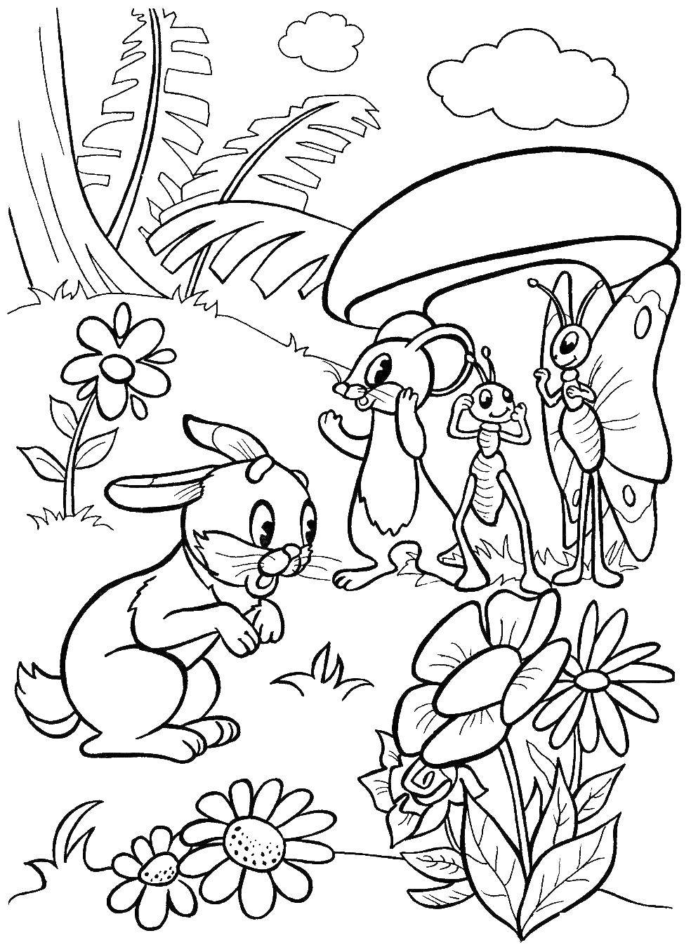 Раскраски зайчата и зайцы  Зайчик и насекомые
