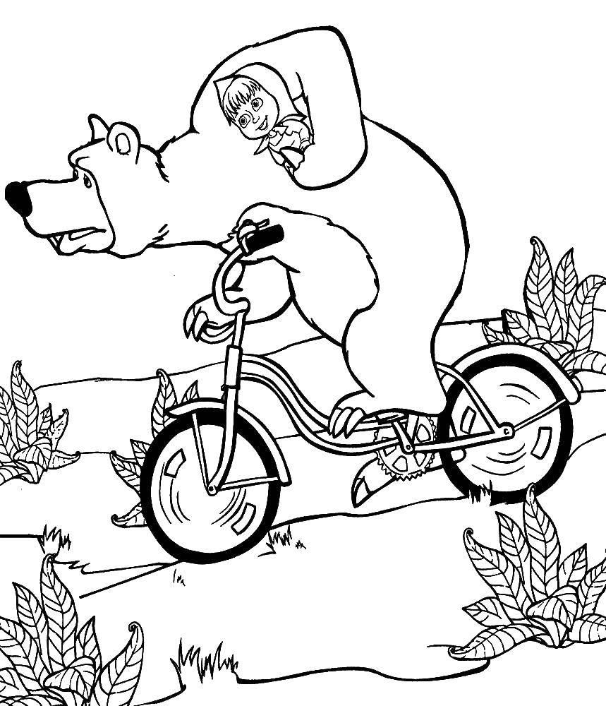 Раскраски медведь, медведица, медвежонок  Миша  везет машу  на велосипеде