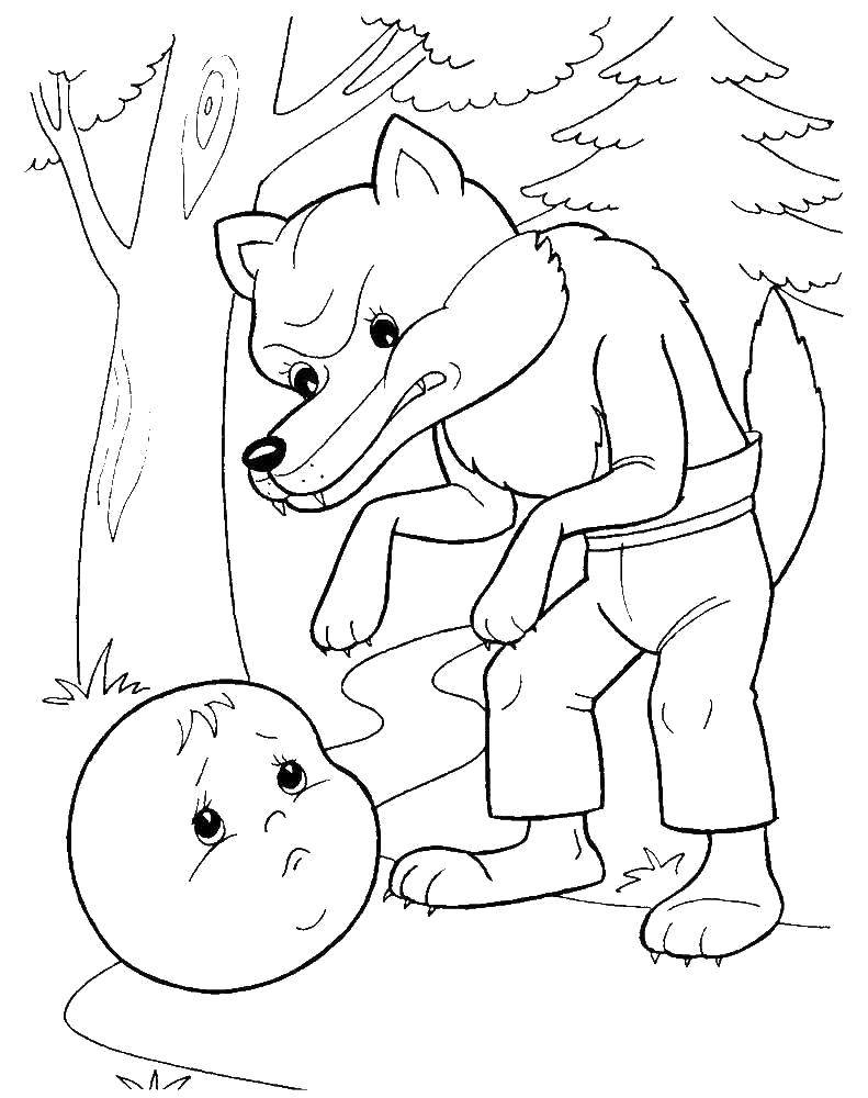 Раскраска волк  Волк хочет съесть колобка