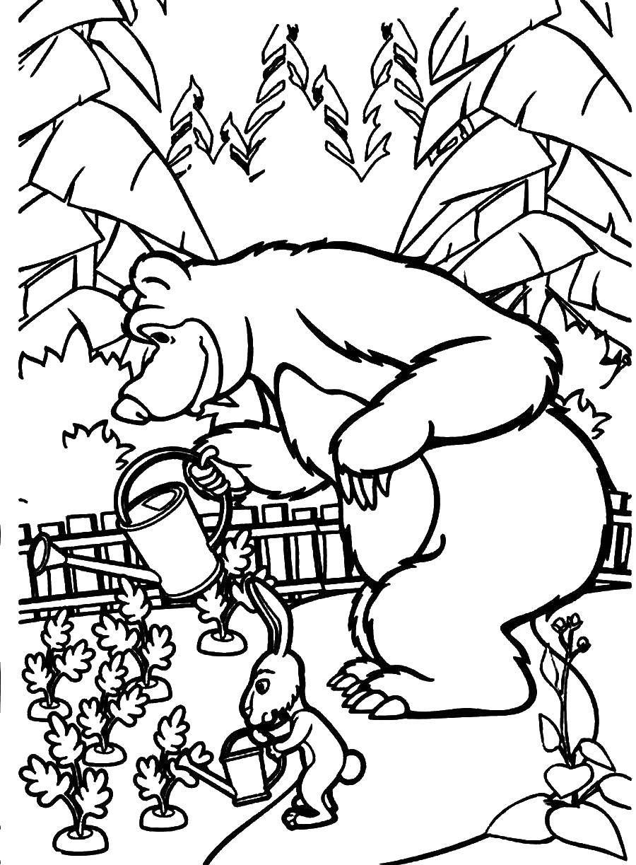 Раскраски медведь, медведица, медвежонок  Медведь в огороде
