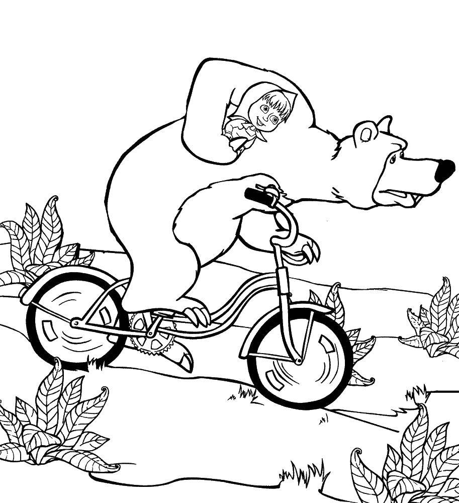 Раскраски медведь, медведица, медвежонок  Маша катает машу на велосипеде