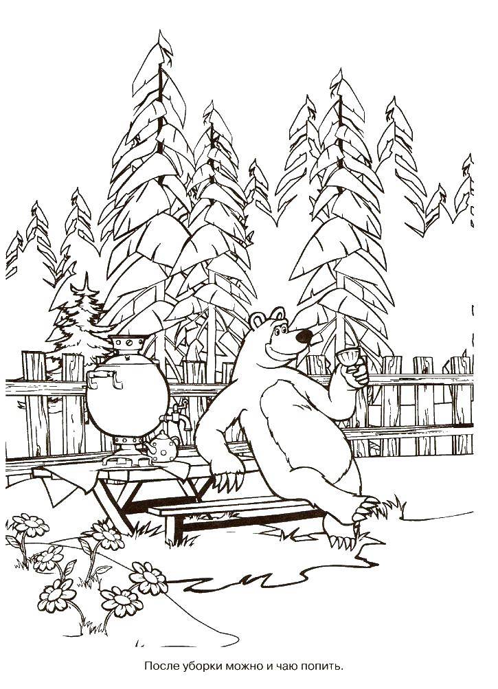 Раскраски медведь, медведица, медвежонок  Миша пьет чай