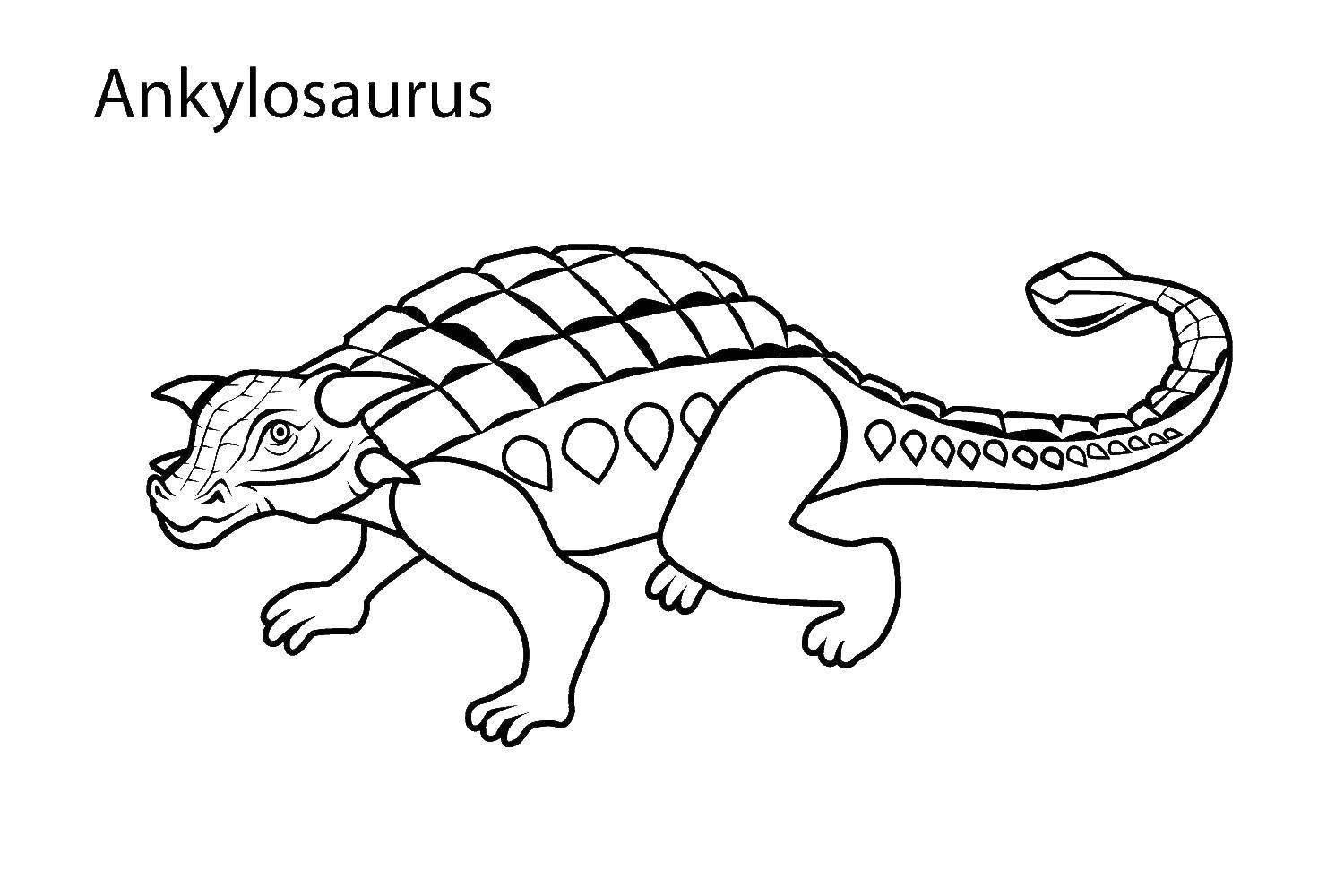   Травоядный анкилозавр
