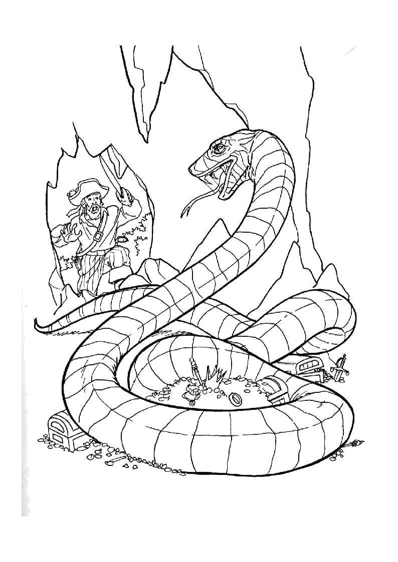 Раскраски змея  Змей охраняет сокровища