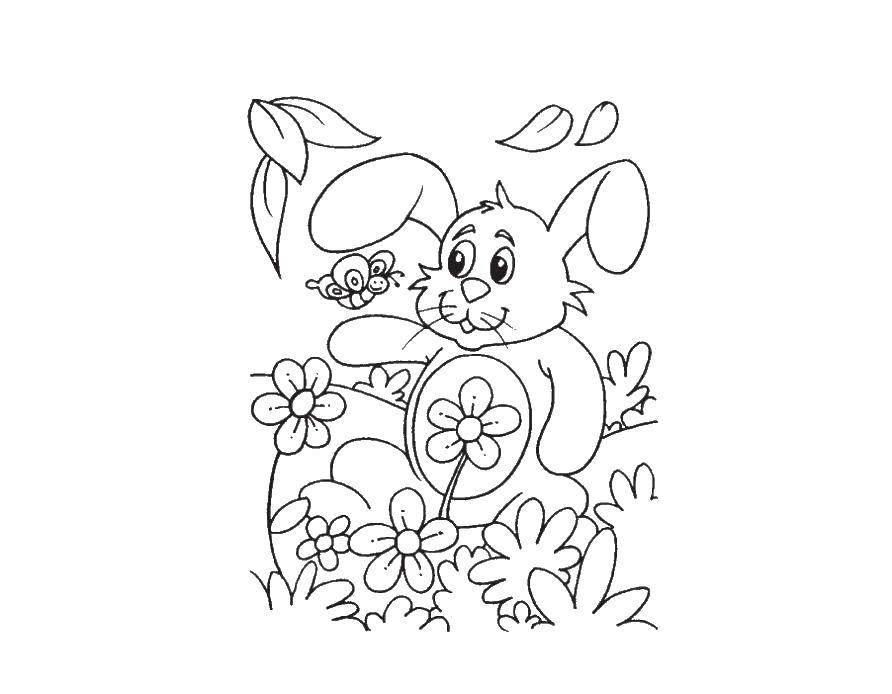 Раскраски зайчата и зайцы  Зайчик играет с бабочкой
