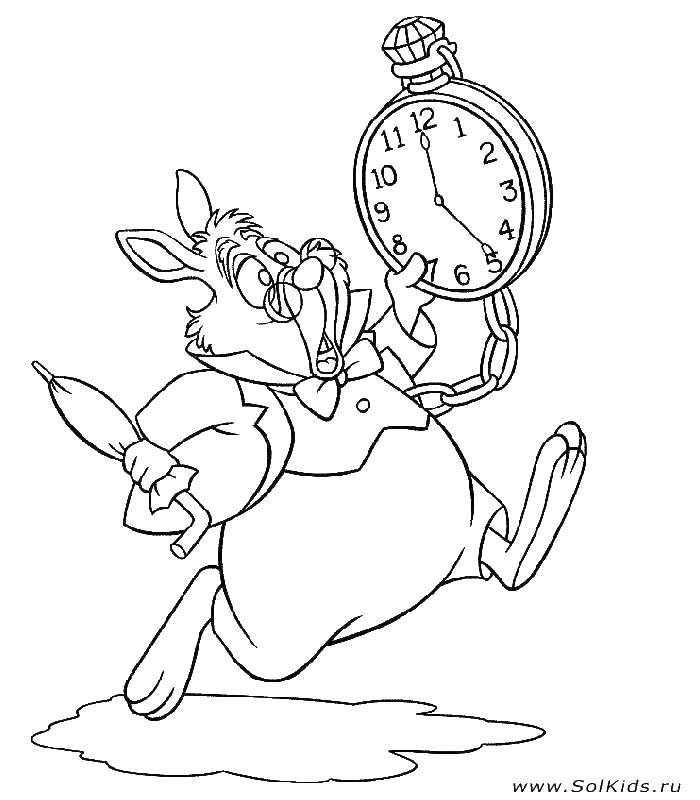   Кролик и часы