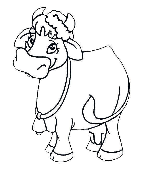 Раскраски домашняя корова  Коровка с колокольчиком