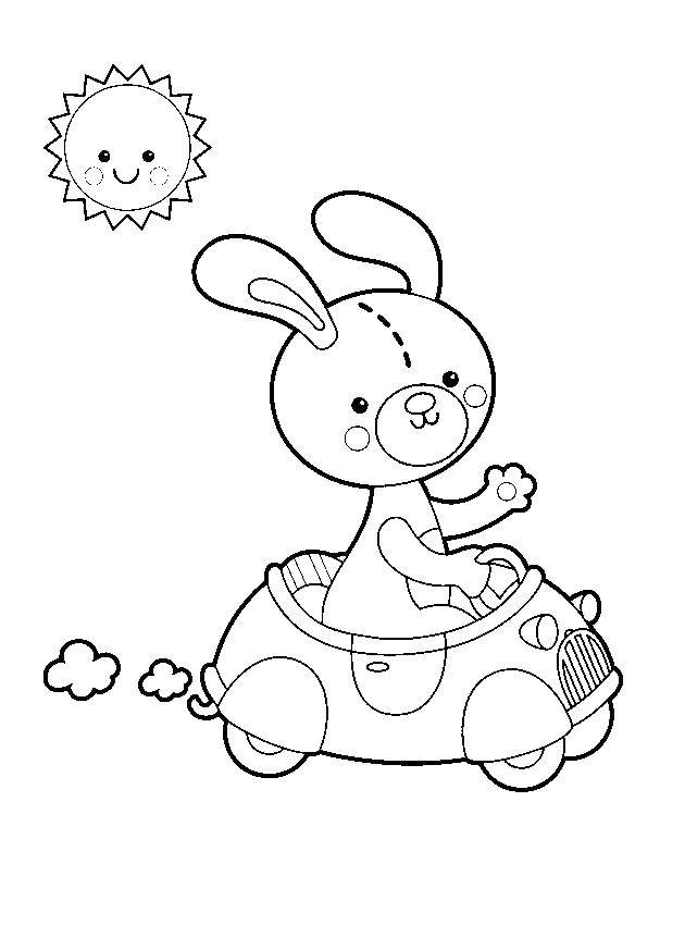   Кролик на машине