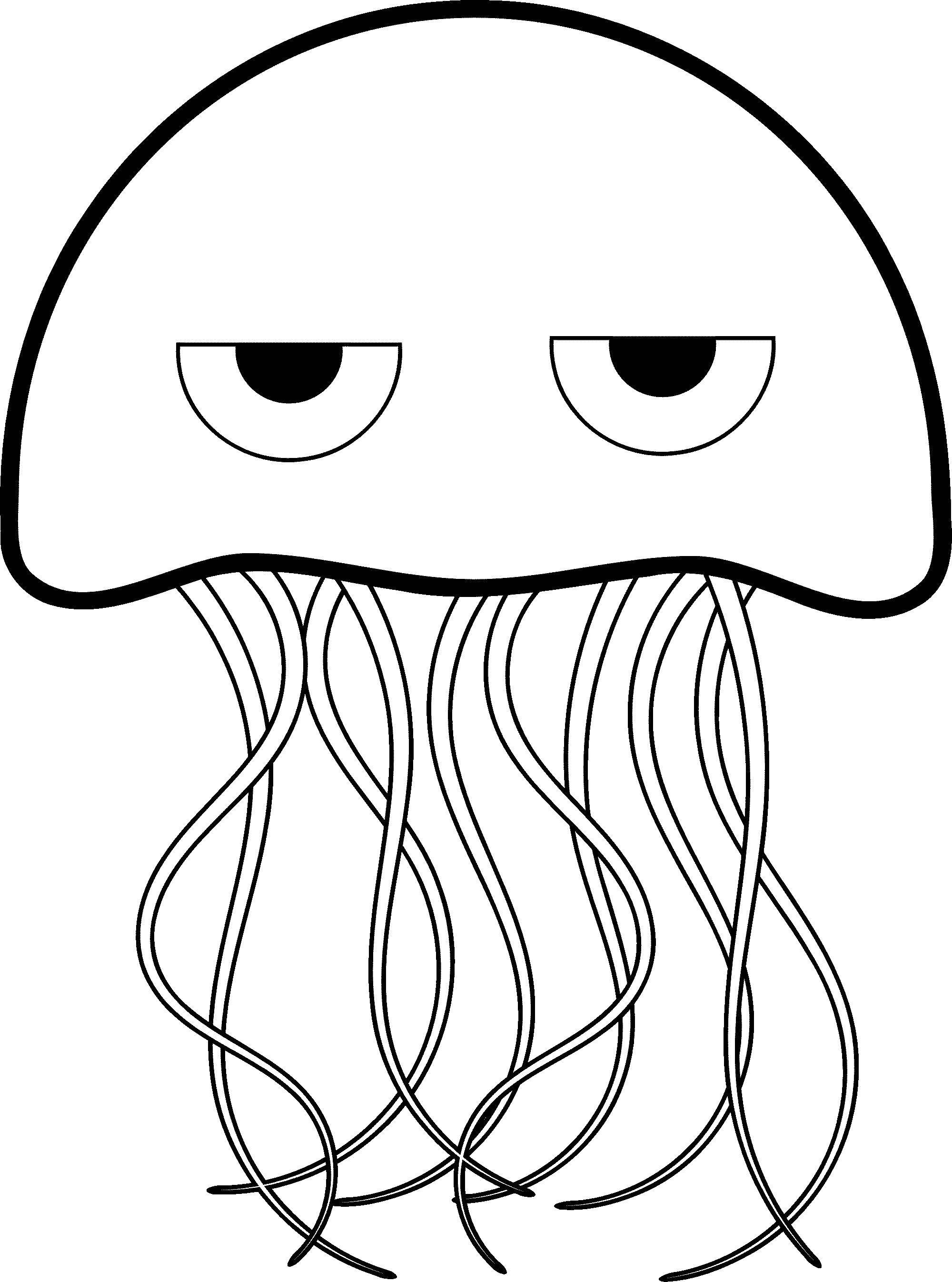   Недовольная медуза