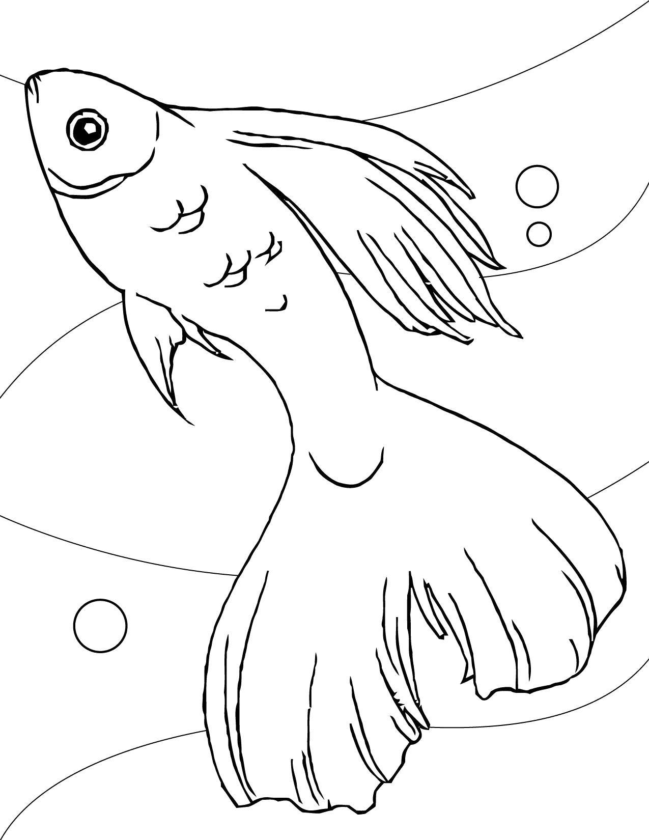   Золотая рыбка под водой