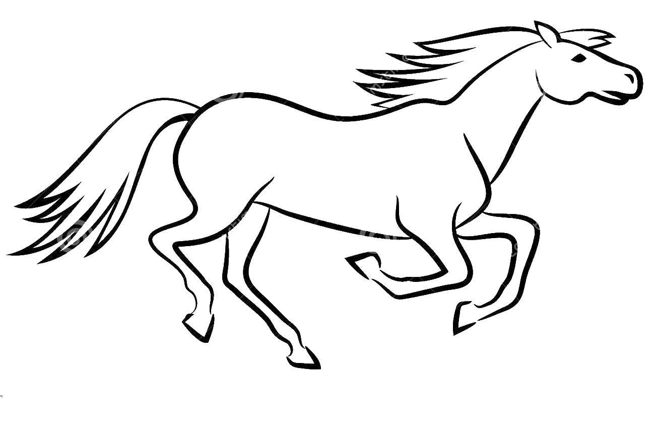 Раскраски онлайн Лошади