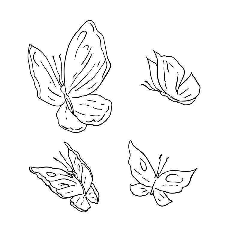   Бабочки