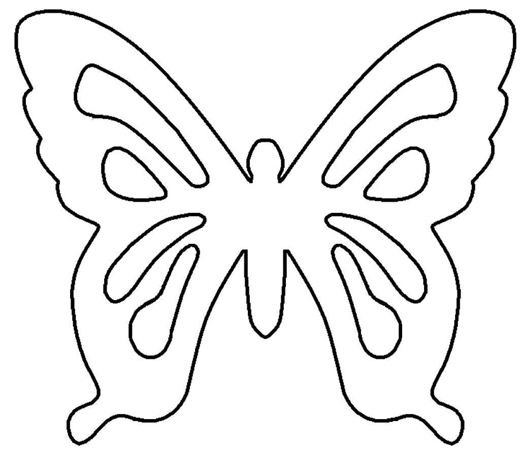   Контур бабочки