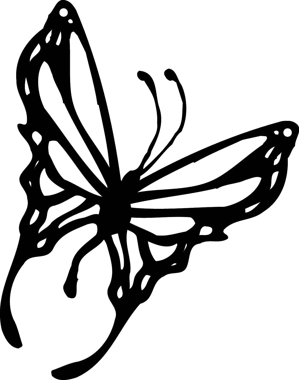   Силуэт бабочки