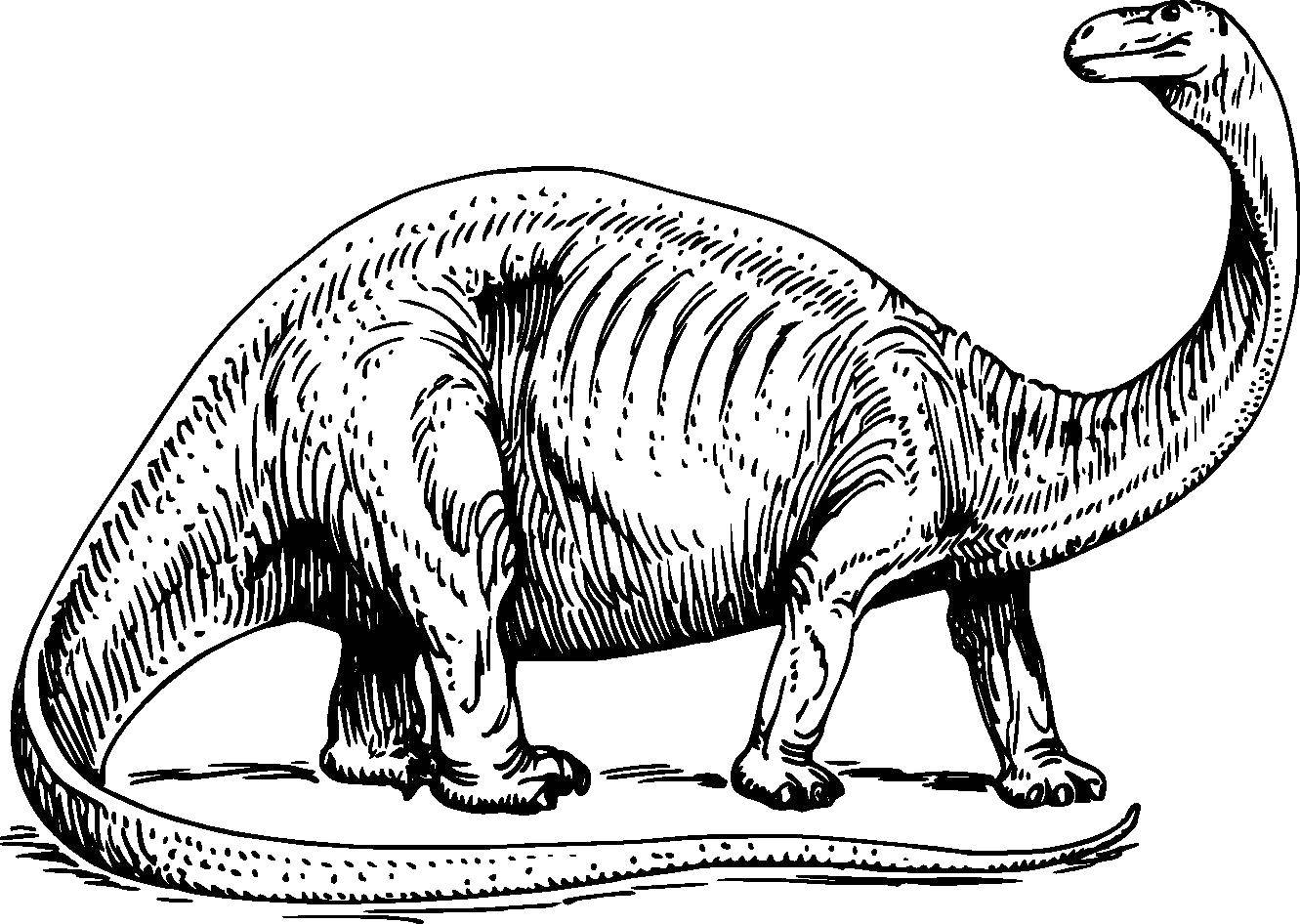   Динозавр