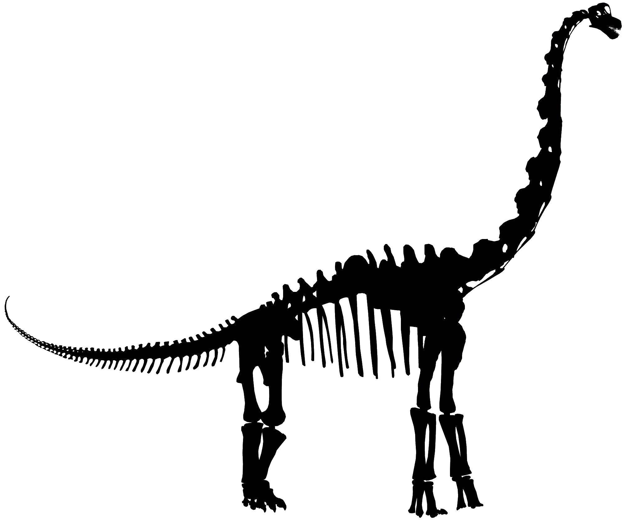   Кости динозавра