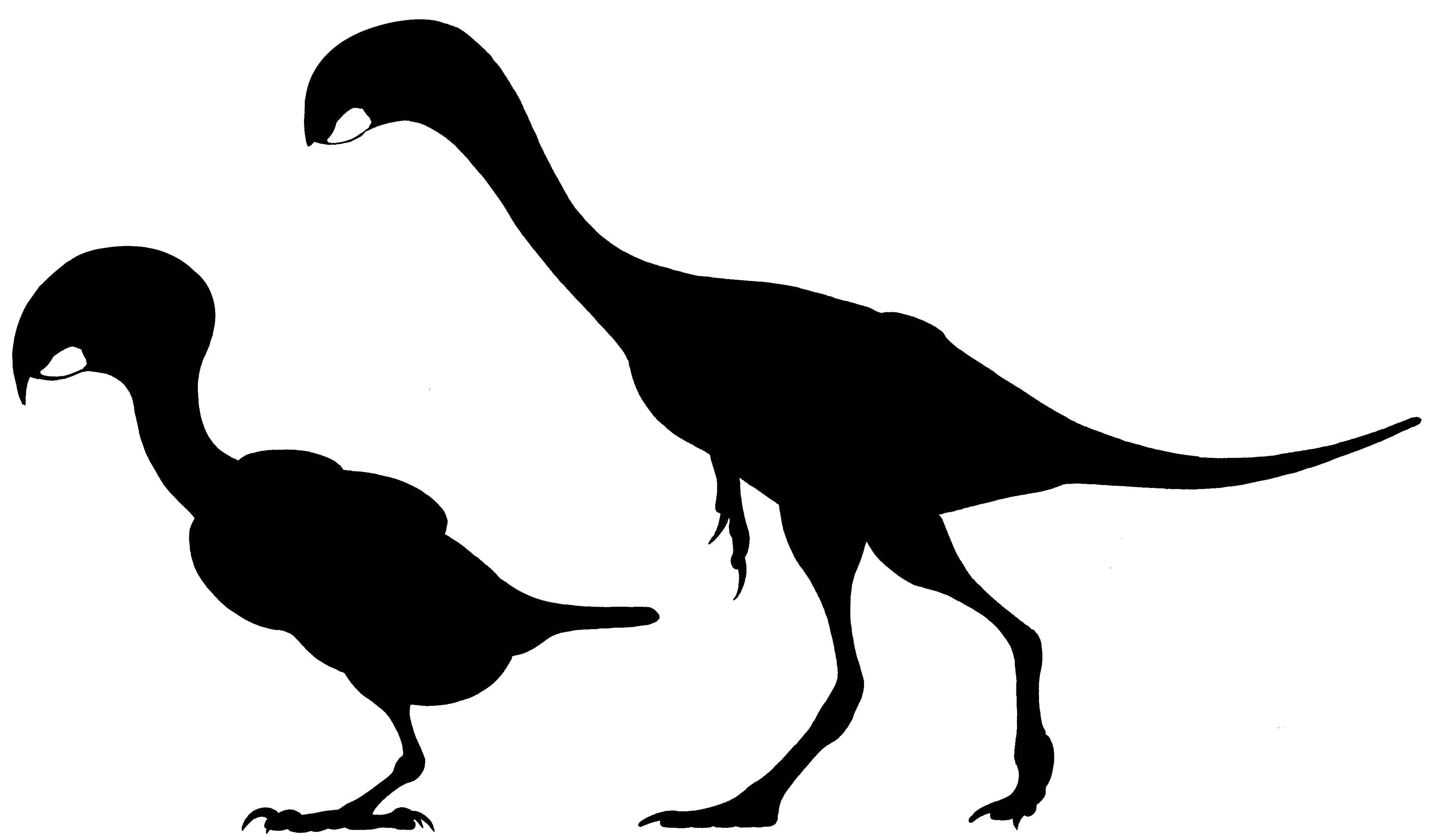   Странные контуры динозавров