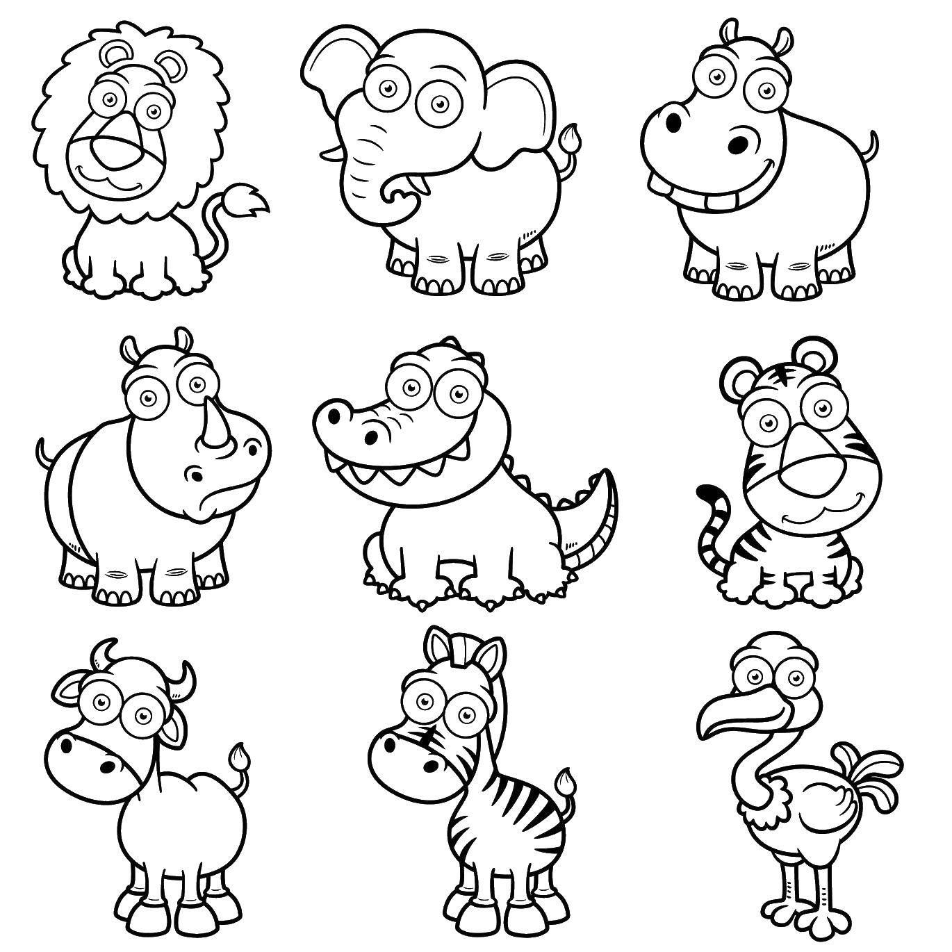 Раскраски носороги  Слоненок, львенок, крокодил, носорог, бегемотик, тигренок, коровка, зебра и страус