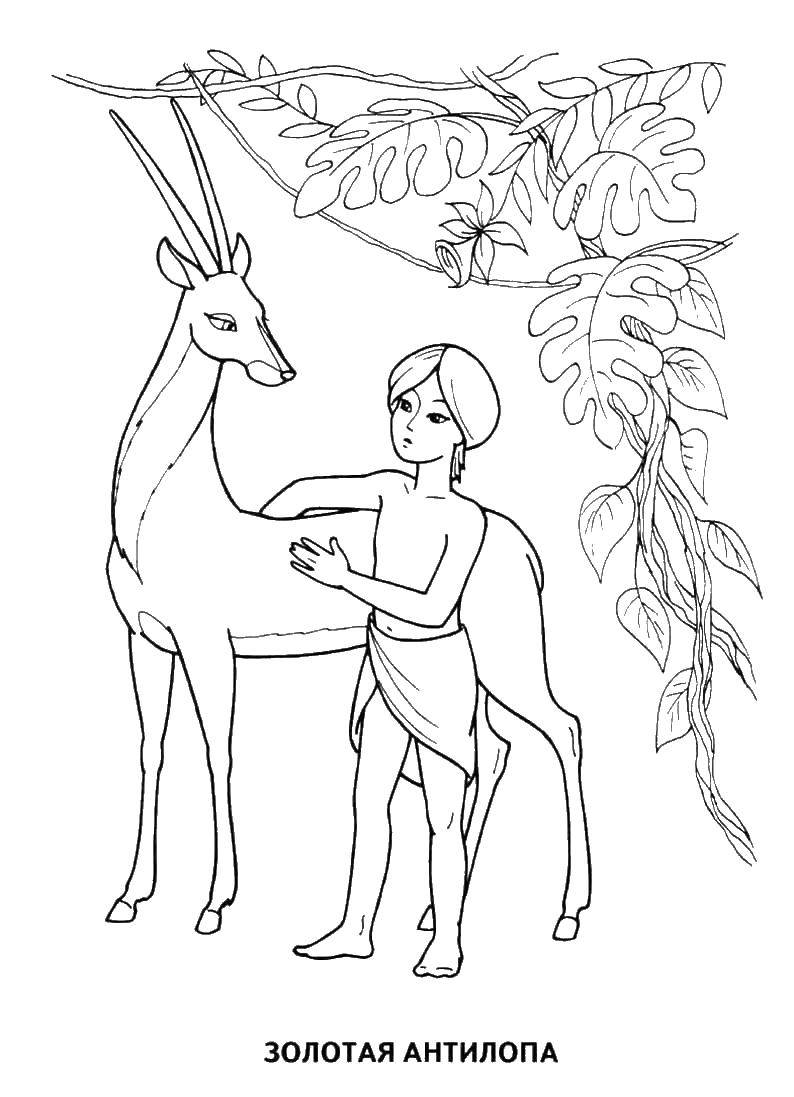 Раскраска с антилопой  Золотая антилопа и мальчик
