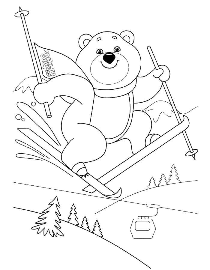 Раскраски медведь, медведица, медвежонок  Медведь на лыжах