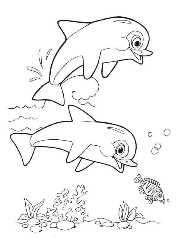   Весёлые дельфинчики играют в воде