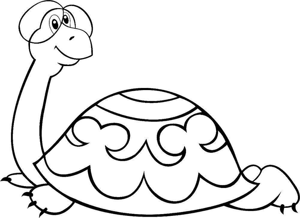Раскраски черепаха  Черепаха тартилла