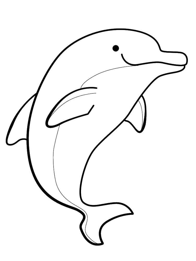 SentoSphere Акварельная раскраска Дельфины