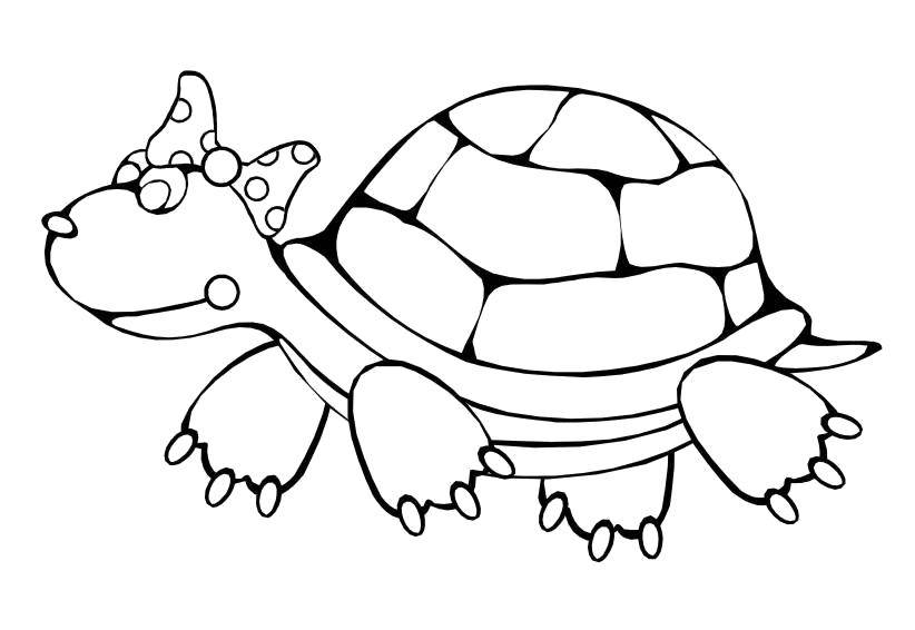 Раскраски черепаха  Модная черепашка