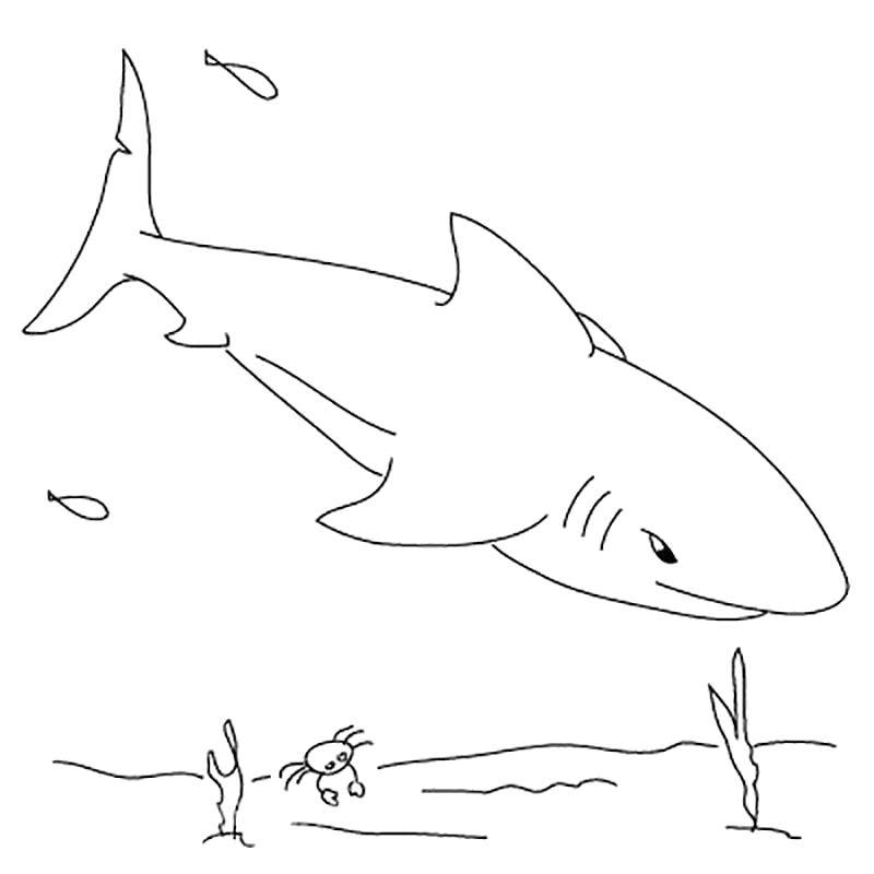   Акула с большим хвостом