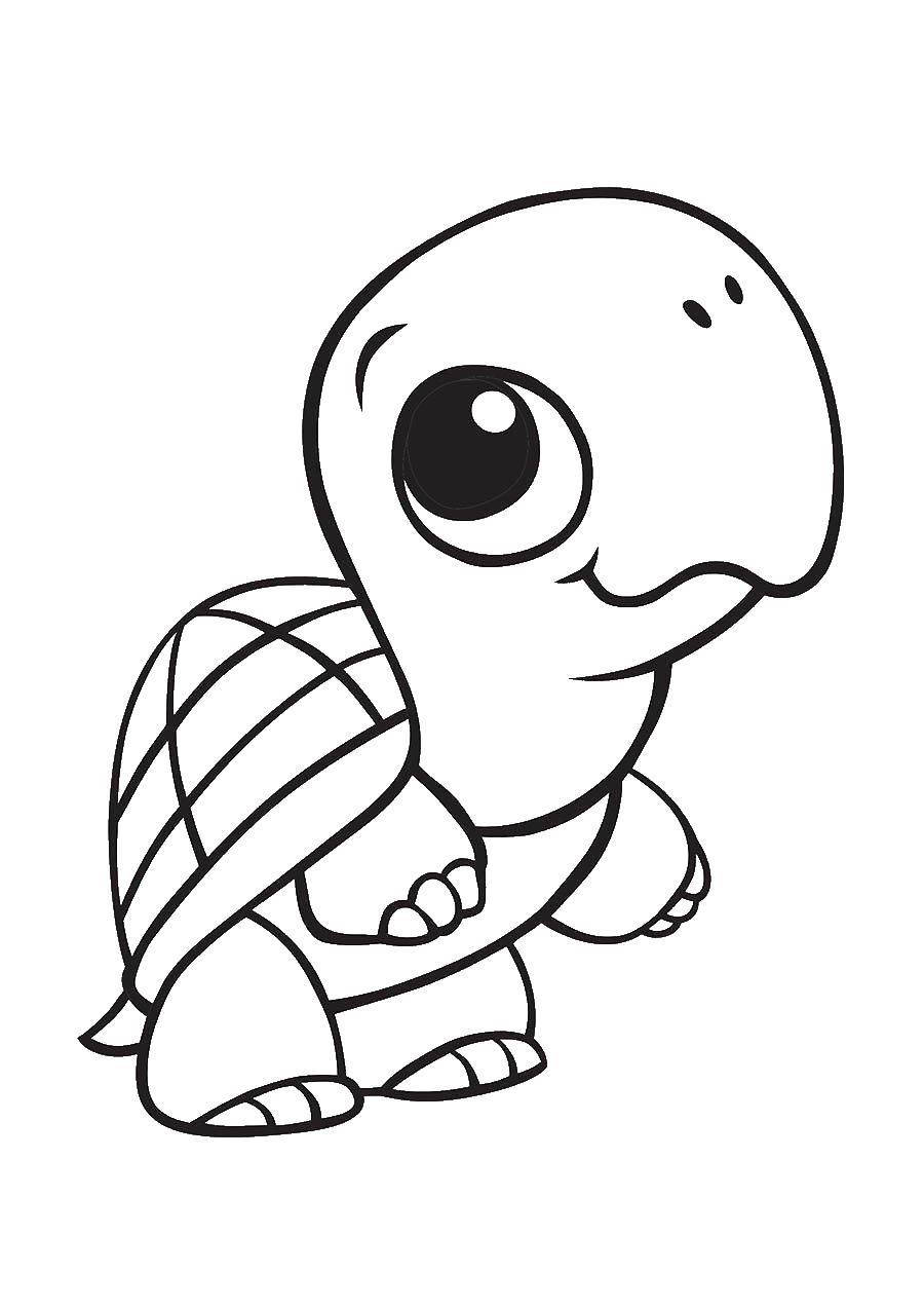 Раскраски черепаха  Черепашонок