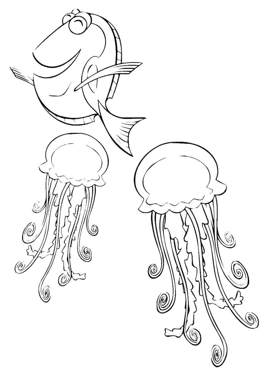   Медуза и рыбы