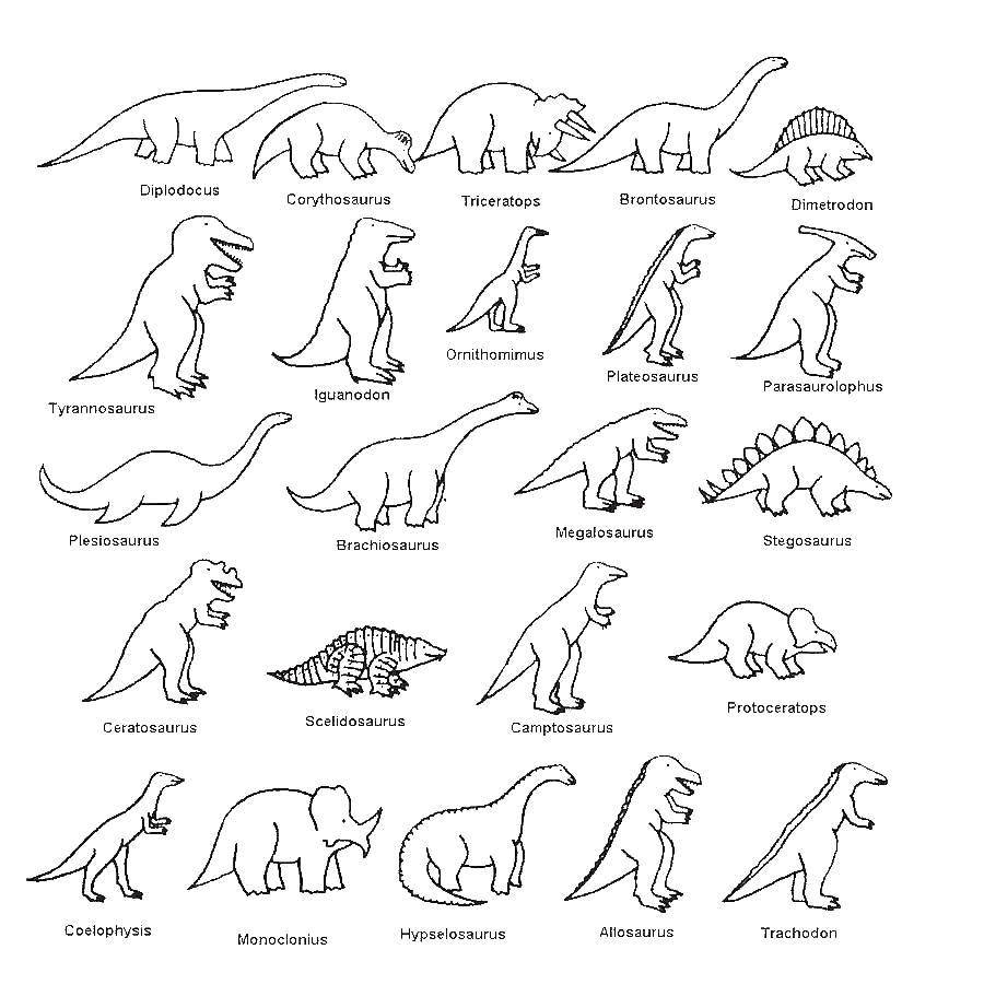   Названия динозавров