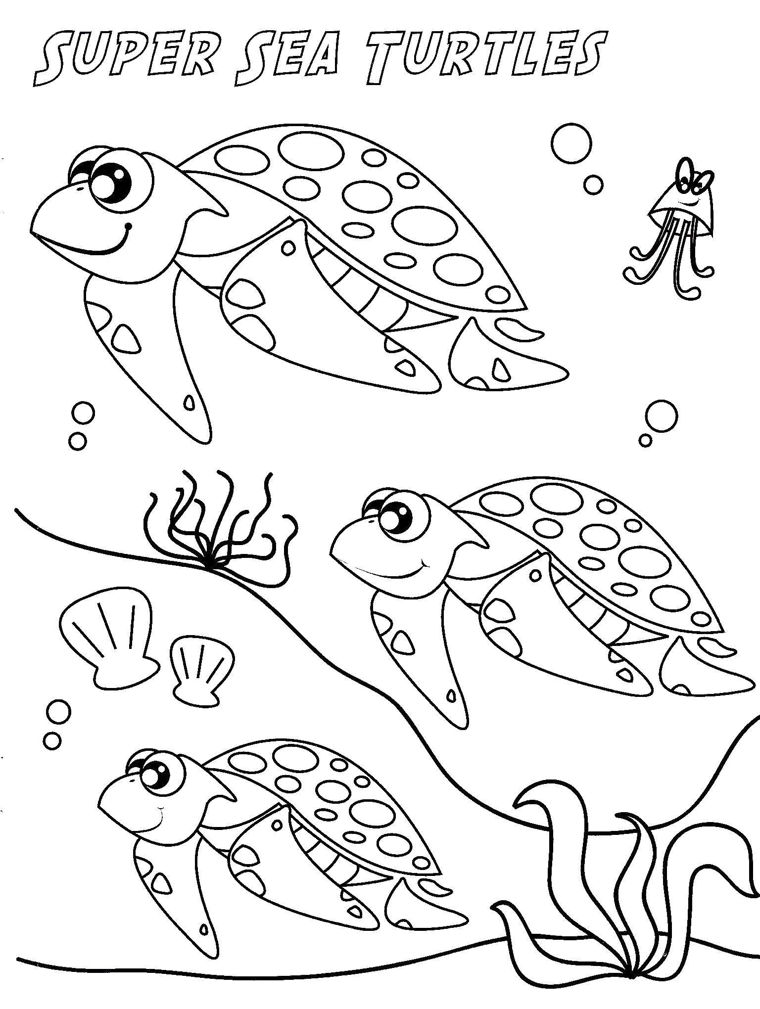 Раскраски черепаха  Морские черепахи