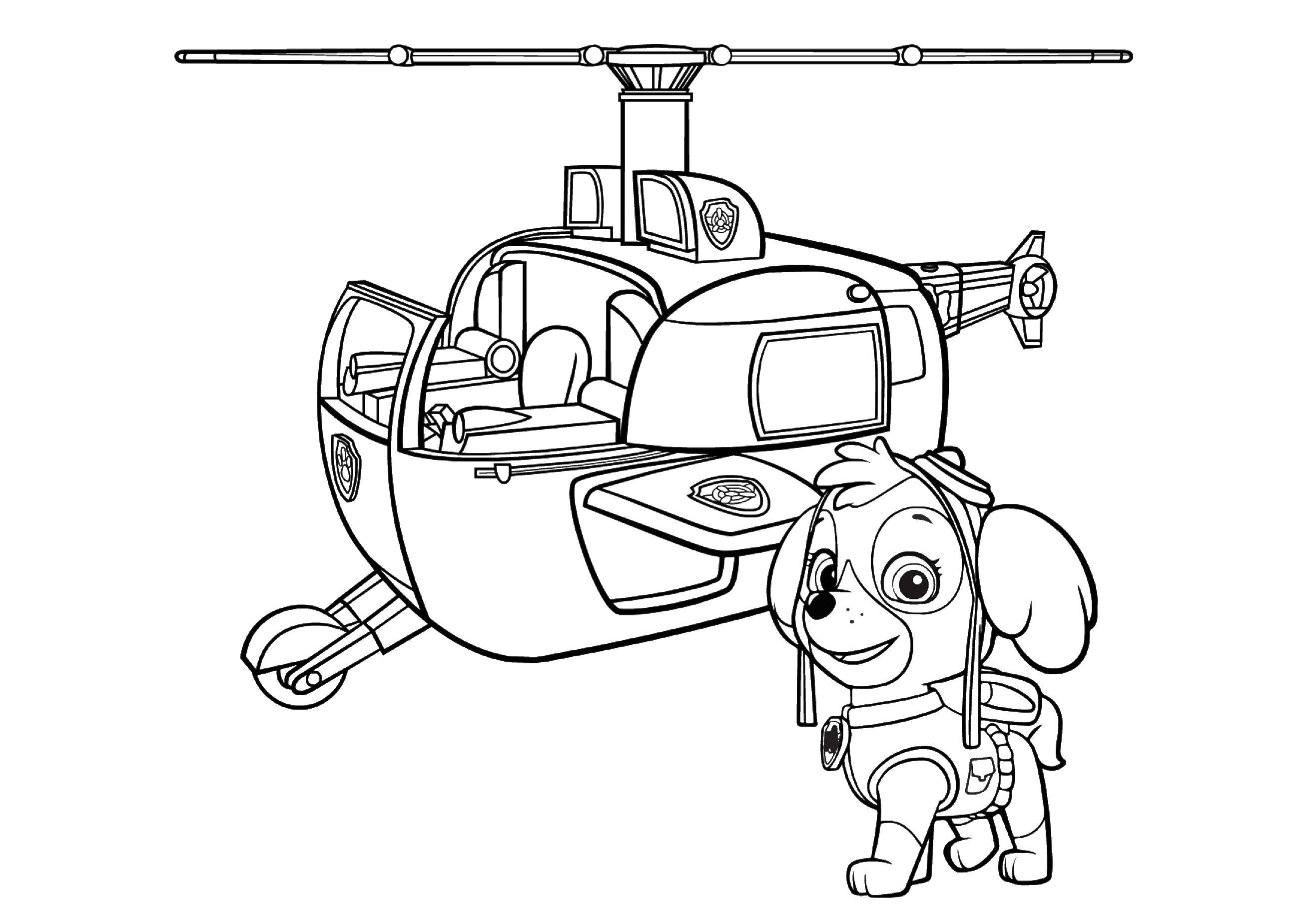   Скай щенок кокапу передвигается на розовом вертолете