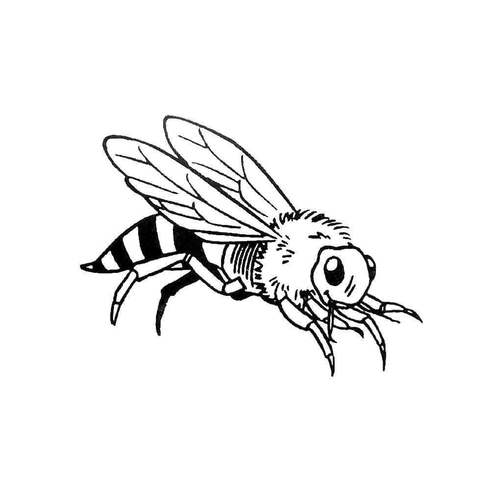 Мультяшные пчёлки: 4 разукрашки