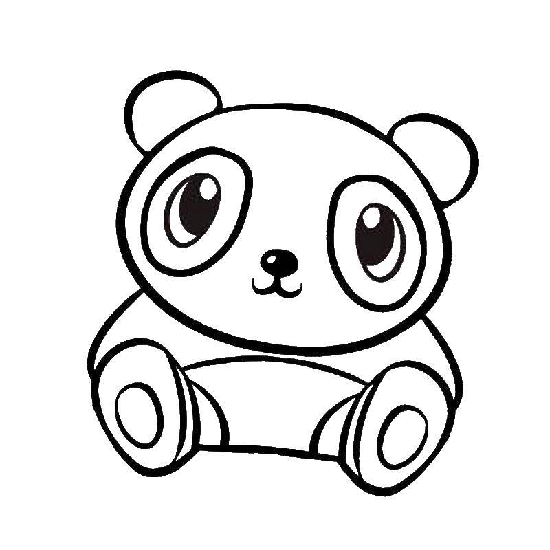 Раскраски панда  Маленький панда