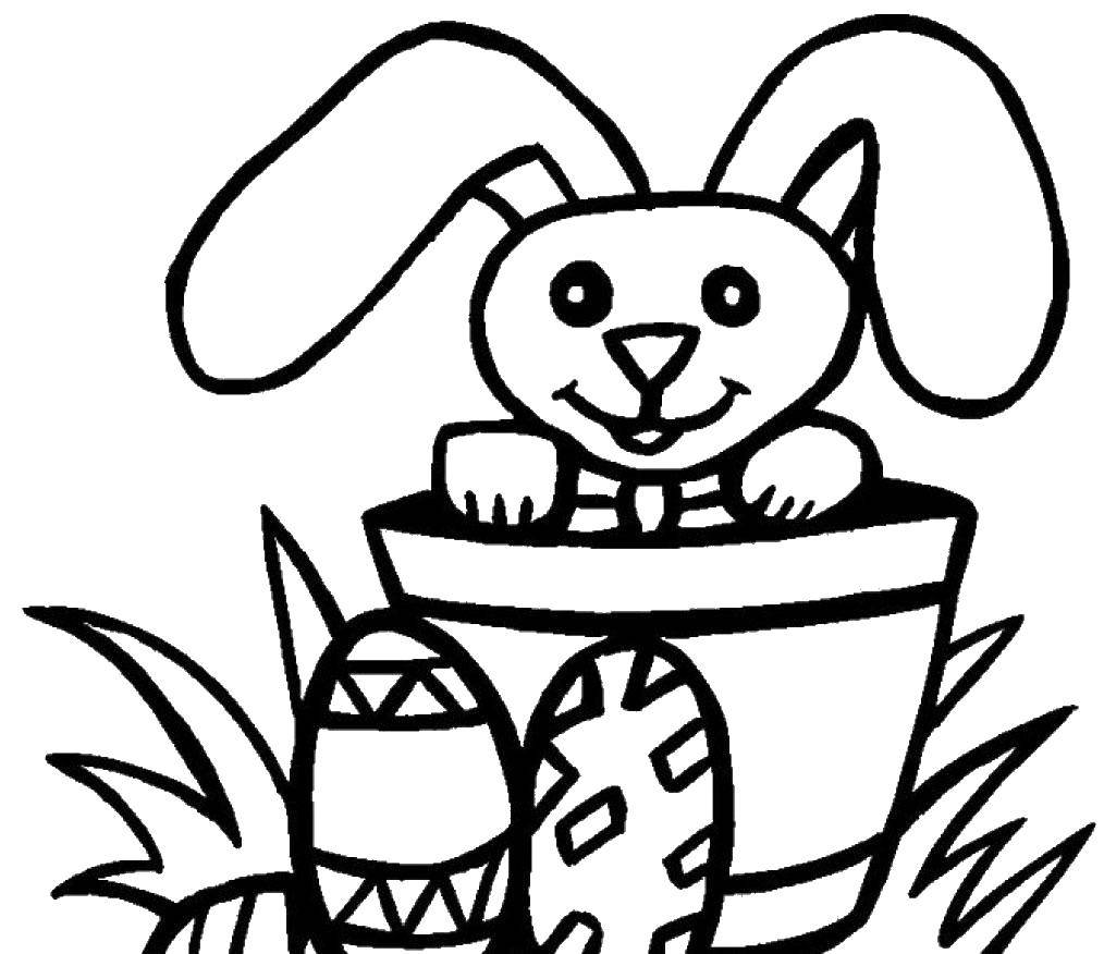   Пасхальный кролик с яйцами