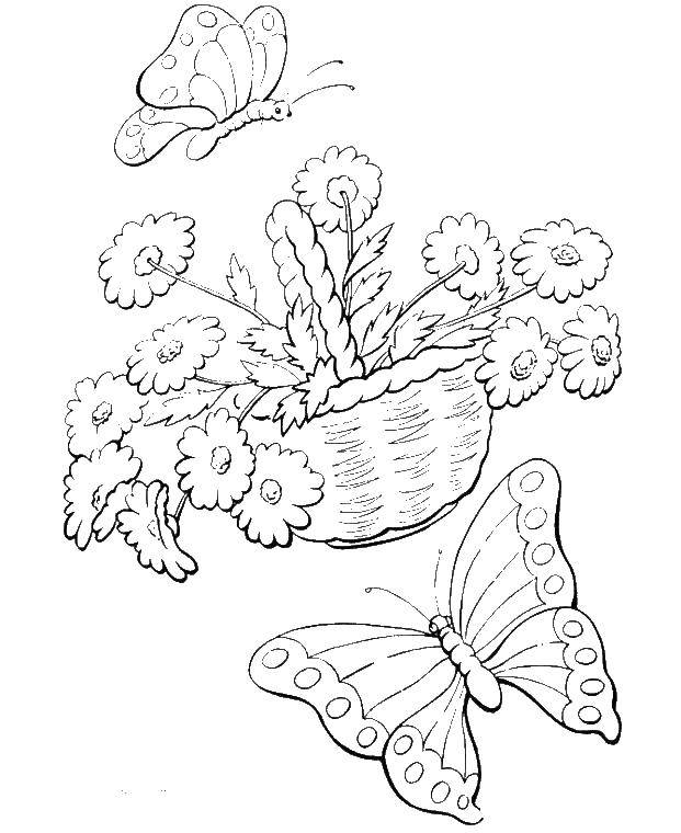   Корзина с цветами и бабочки