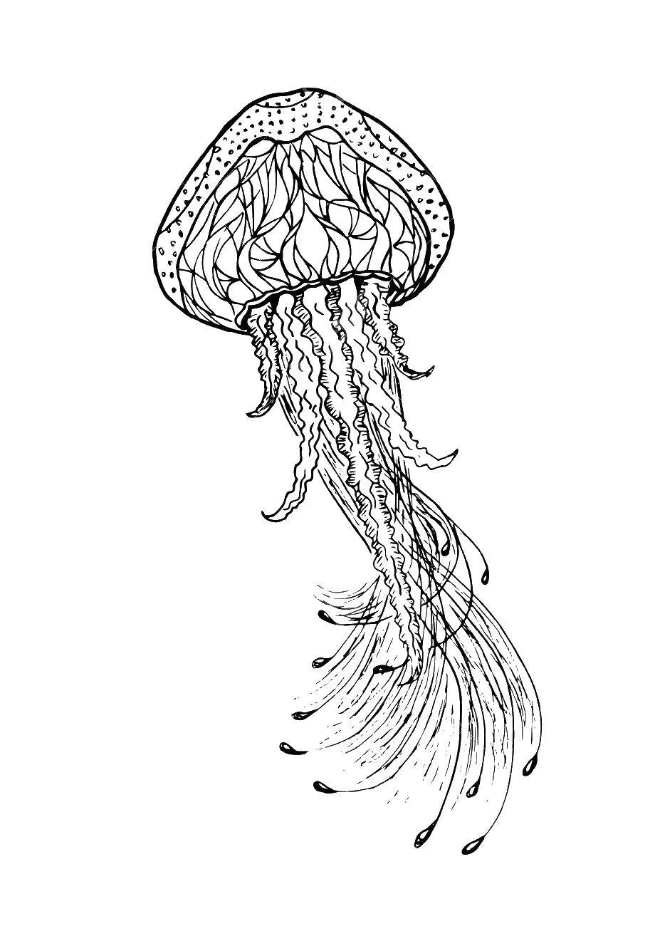   Медуза в узорах