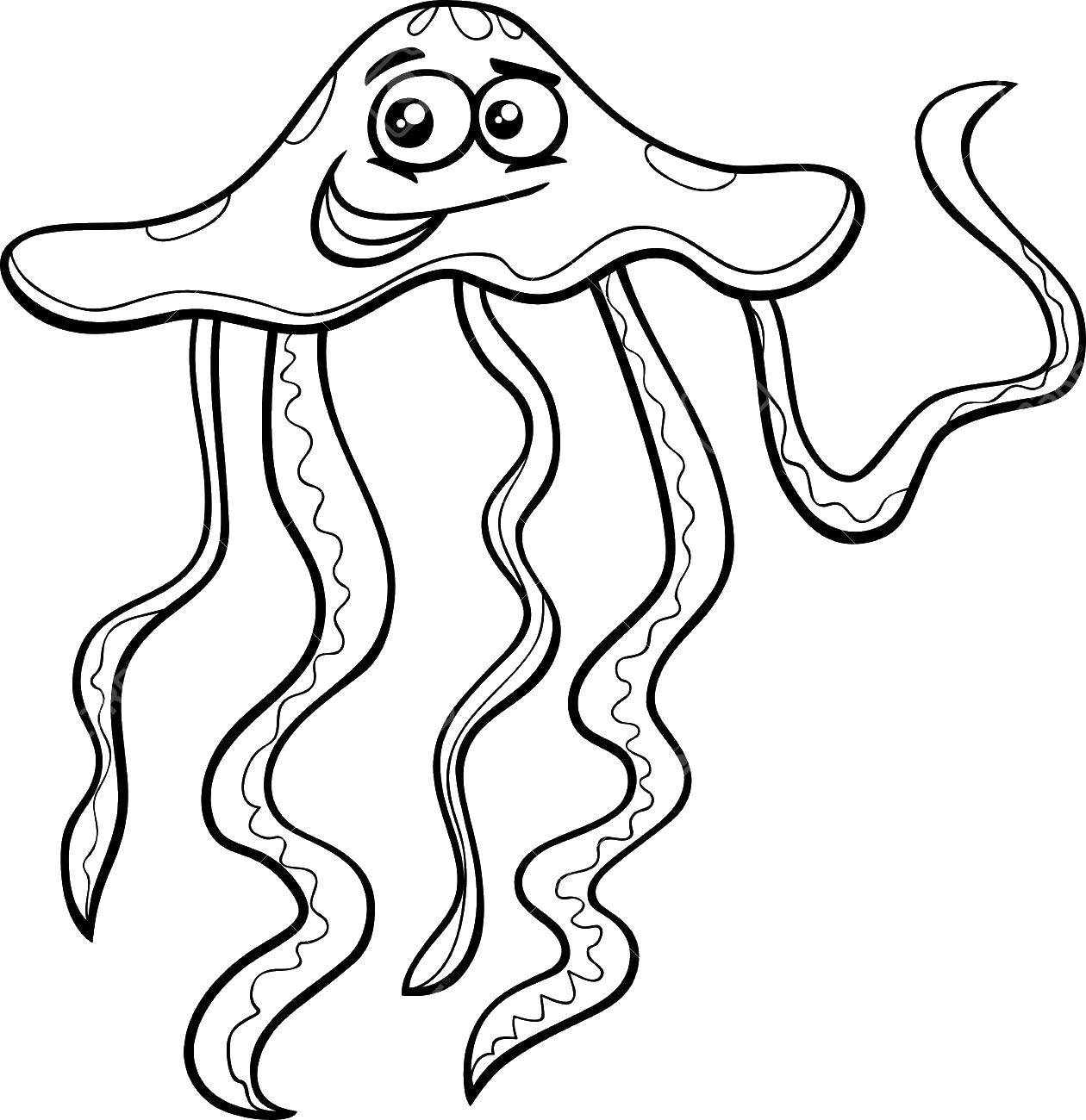   Смешная медуза