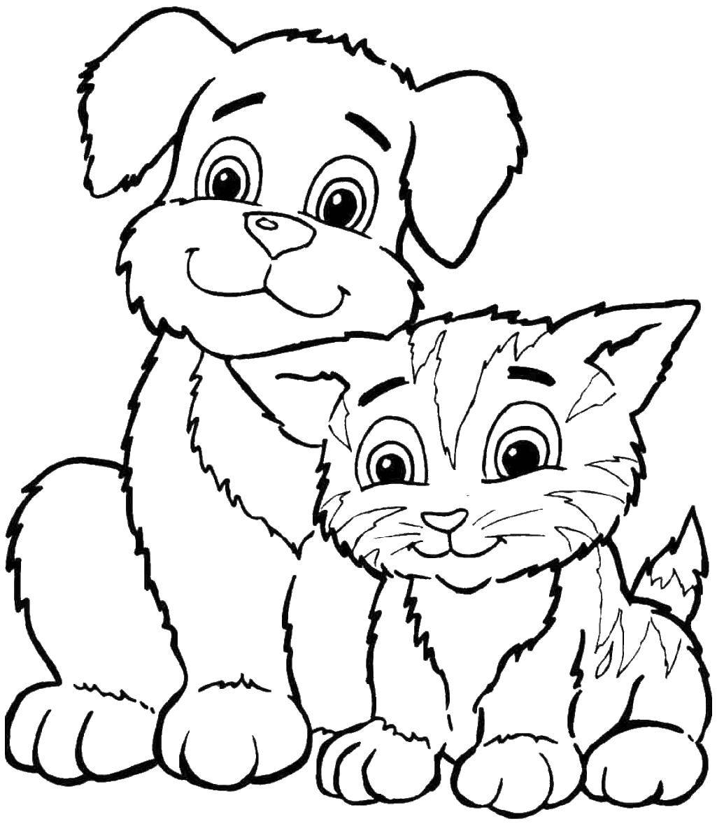   Кошка и собака