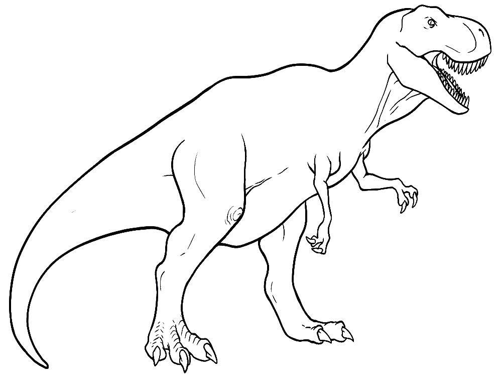   Тираннозавр рекс