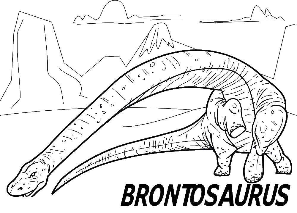   Бронтозавр