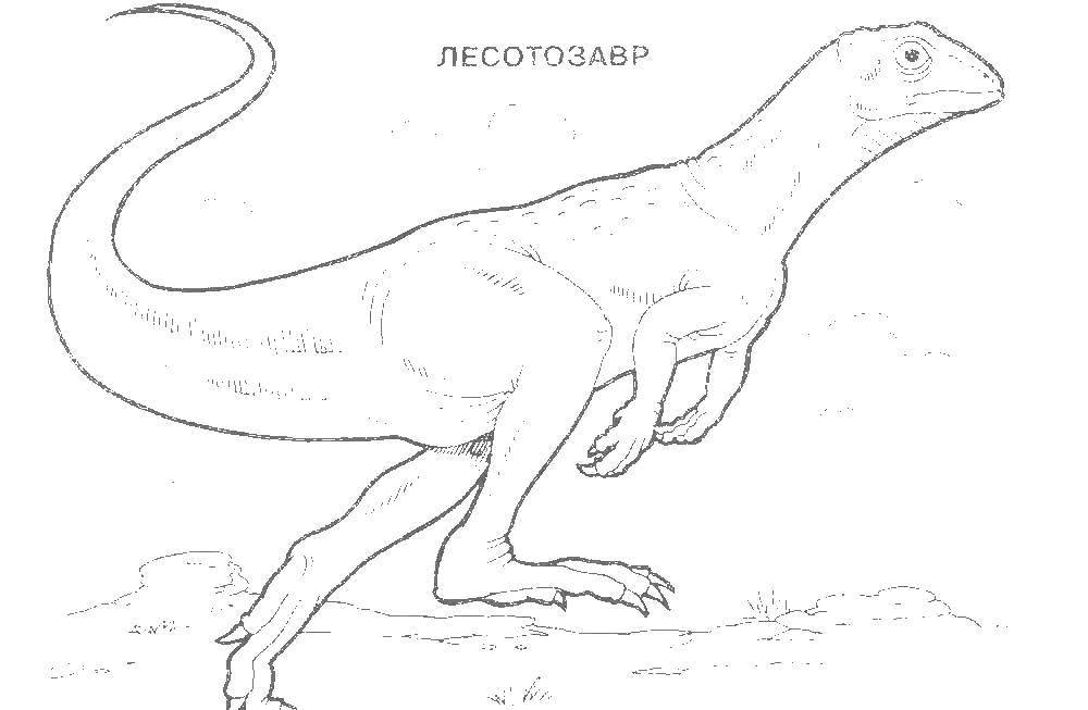   Лесотозавр