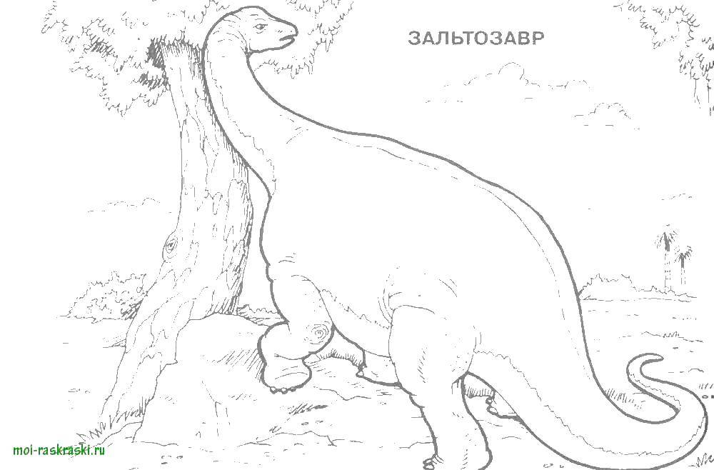   Зальтозавр