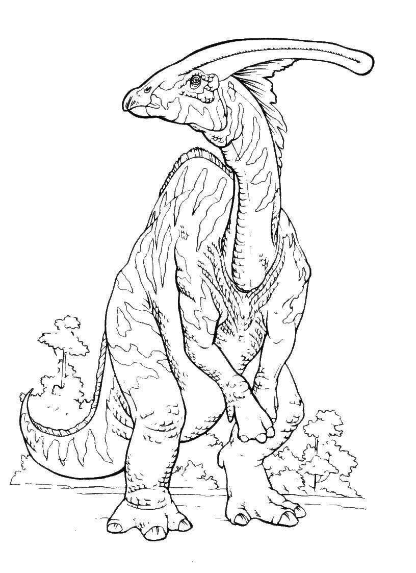   Динозавр с гребнем на голове