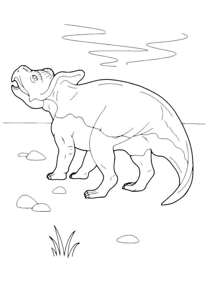   Динозавр